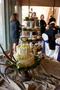 party-0945