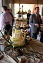 party-0946