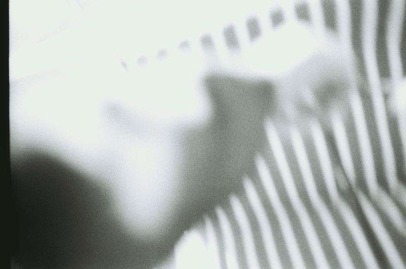 a00004_032.jpg